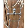 Image 7 : Fancy Rawhide Braided Bridle With JWP Spade Bit