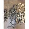 Image 7 : *SOLD* Miscellaneous Headstalls etc.