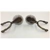 Image 1 : Ornate Chilean Spurs