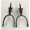 Image 7 : Ornate Chilean Spurs