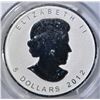 Image 3 : 2012 $5 ML SILVER MAPLE LEAF REV PR