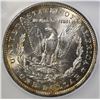 Image 3 : 1900 MORGAN DOLLAR ICG MS-65 MISBAH ZMILY