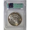 Image 4 : 1900 MORGAN DOLLAR ICG MS-65 MISBAH ZMILY