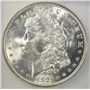 Image 2 : 1921 MORGAN DOLLAR, ICG MS-64
