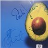 Image 2 : Pearl Jam Signed Pearl Jam (a.k.a The Avocado Album) Album Cover