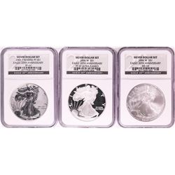 20th Anniversary Set of 2006 $1 American Silver Eagle Coins NGC Graded
