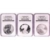Image 1 : 20th Anniversary Set of 2006 $1 American Silver Eagle Coins NGC Graded