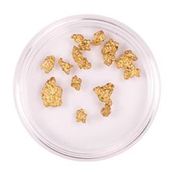 Lot of Australian Gold Nuggets 4.61 grams Total Weight