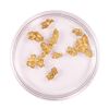 Image 2 : Lot of Australian Gold Nuggets 4.61 grams Total Weight