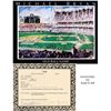 Image 1 : "The Old Ball Game" by Michael Bryan