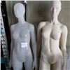 Image 2 : 2 ADULT MANNEQUINS AND MANNEQUIN TORSO AND T-SHIRT