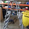 Image 2 : POOL LADDER