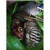 Image 2 : BOX OF CUSTUMES AND STUFFED ANIMALS