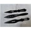 Image 2 : 2 THROWING KNIVES