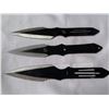 Image 2 : 3 THROWING KNIVES
