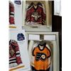 Image 2 : 4 DIFFERENT NHL JERSEY STARHANGERS - RETAIL $59.99 EACH