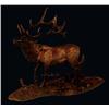 Image 1 : Bronze Elk