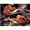 Image 1 : Eagle Head Spurs