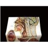 Image 7 : Anatomical Medical Educational Chart