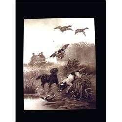 Early Black and White Hunting Print