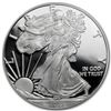 Image 2 : 2013-W Proof Silver American Eagle PR-70 PCGS