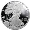 Image 2 : 2007-W Proof Silver American Eagle PF-70 NGC