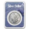 Image 1 : 1878-1904 Morgan Silver Dollar Winter Scene Card BU (Random Year)