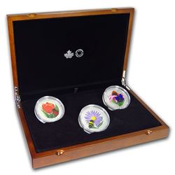 2018 Canada 3-Coin Silver $50 Venetian Glass Murano's Best