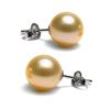 Image 1 : Golden South Sea Pearl Stud Earrings, 9.0-10.0mm