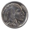 Image 2 : 1917 Buffalo Nickel MS-66 PCGS