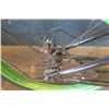 Image 8 : Bahama Cruisers 26" Fat Tire Bike w/ Upgraded Components, Retail $650 New