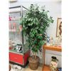 Image 1 : 6 1/2 Foot Tall Imitation Tree in Pot