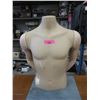 Image 1 : Male Torso Mannequin