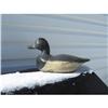 Image 1 : Blue Bill Drake Decoy,Circa 1910-20 #964728