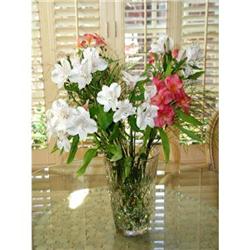 Glass Vase Diamond Cut #969259