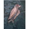 Image 1 : Lucite Bird Pin #970811
