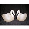 Image 1 : Open Swans #971863