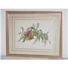 Image 1 : Framed Botanical SKU 5497 #972075
