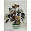 Image 1 : Jade Tree SKU 5373 #972106