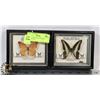 Image 1 : LOT OF 2 MALAYSIA FRAMED BUTTERFLY'S
