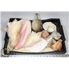 Image 1 : TRAY WITH SHELL COLLECTION & PUFFER FISH