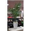 Image 1 : SHOWHOME 6FT  ARTIFICIAL TREE / FERN