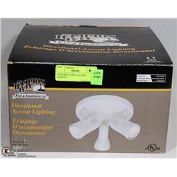 NEW DIRECTIONAL ACCENT LIGHTING