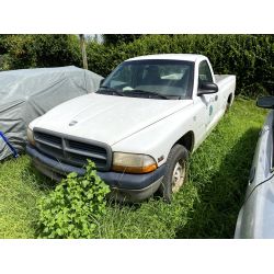 2000 DODGE DAKOTA Pickup Truck