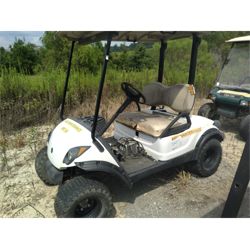Yamaha Golf Cart "No batteries" Miscellaneous
