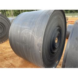 48" Conveyor Belting