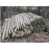 Image 1 : Approx 275 Treated Fence Posts 6' x 3"-4", Some Bigger & 5 Partial Rolls of Barbed Wire