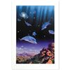 Image 1 : Ocean Dreams by Schimmel, William