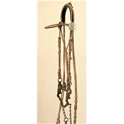 Rawhide Bridle