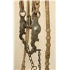 Image 2 : Rawhide Bridle